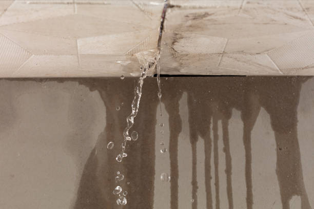Professional Structural Drying technician working in Princeton, NC